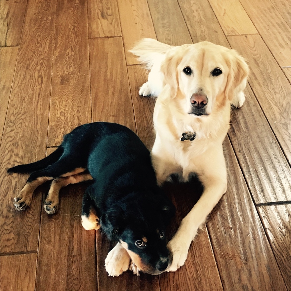 Meet your Posher, Katherine